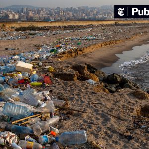 إهمال البيئة في لبنان: لماذا أصبحنا نعتاد الكارثة؟